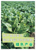 ROHS环境海报 BKHY12 将产品转变为最环保最节约资源的绿色产业